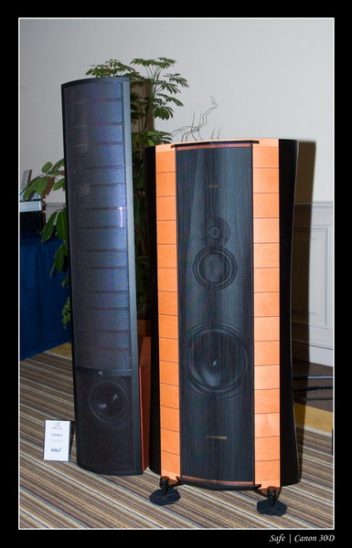 2007 - 03 - Salon hifi sofitel - 016